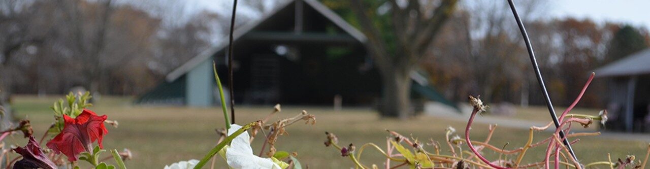 Sharing the peace of Christ